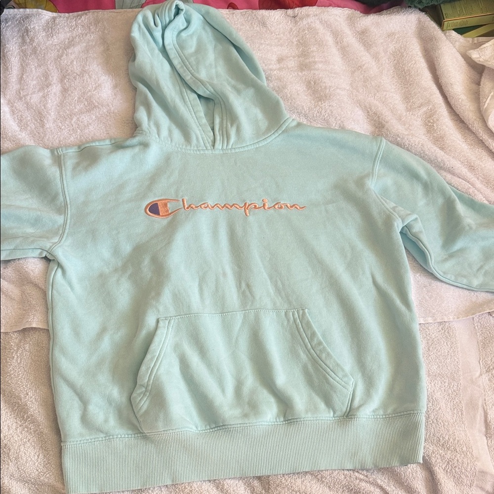 Champion Sky Blue Hoodie with Logo